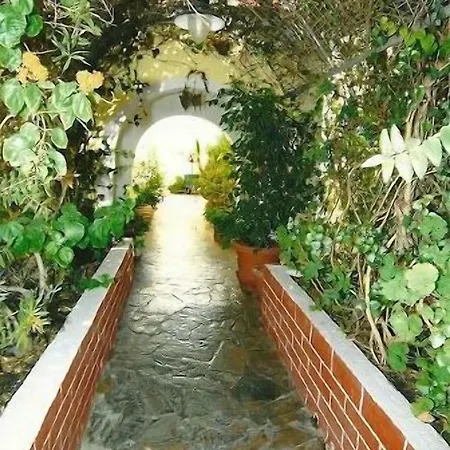 Hotel Armonia 3*