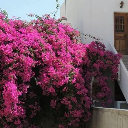 Hotel Armonia Kamari (Santorini)